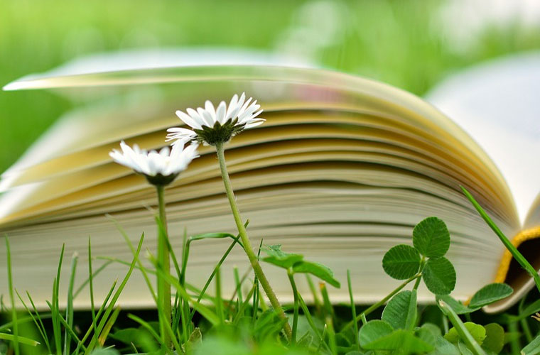 西安工程大学 西安工程大学