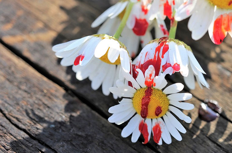 陕西经济管理职业技术学院