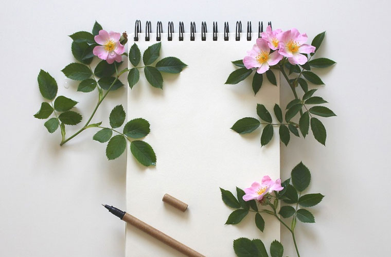 云南外事外语职业学院护理学院介绍、怎么样？