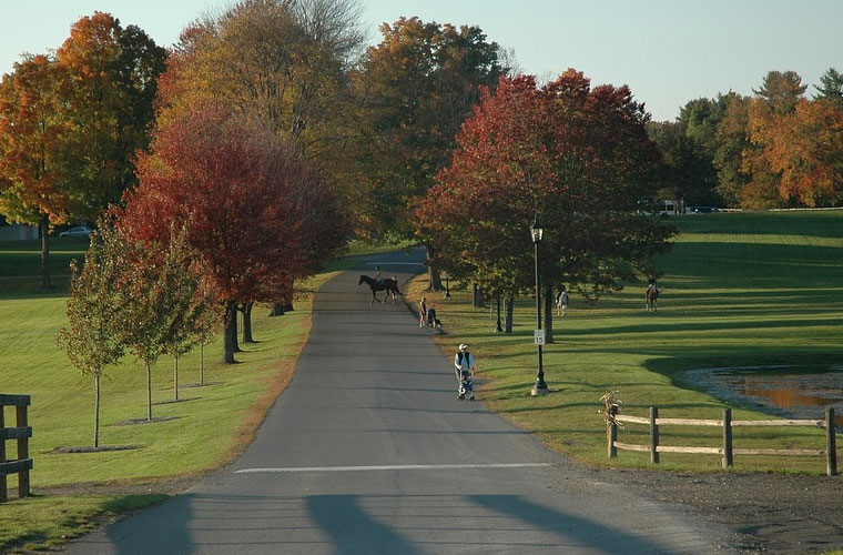 云南文化艺术职业学院管理好不好？师资怎么样？