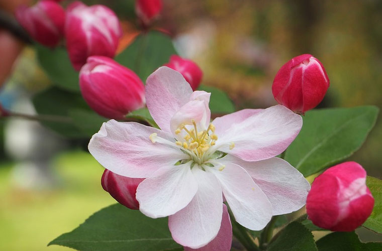 四川省服装艺术学校 四川省服装艺术学校