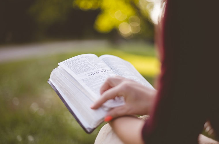 成都工业职业技术学校园艺设计就业怎么样? 成都工业职业技术学校园艺设计就业怎么样?