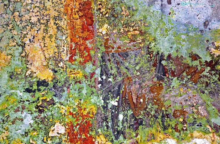 初中毕业想学美术去哪个学校比较好一点