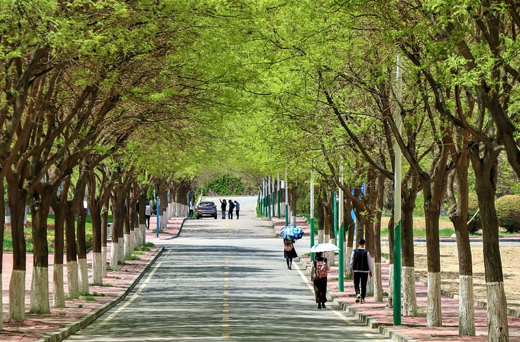 2020年重庆市南川中学（高中部）的教学怎么样、学校环境好不好