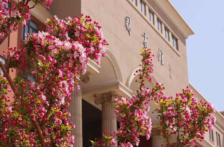 三门技师学院