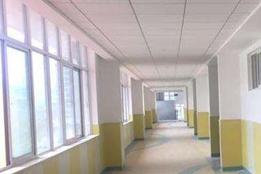 1583563432120359.jpg 26.jpg