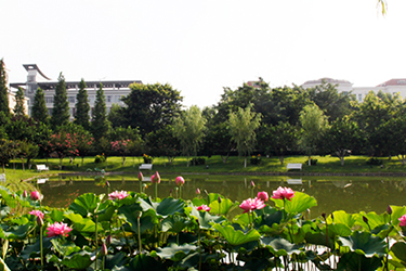 1585361603480 1585361603480