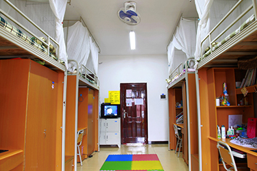 158536176712 158536176712