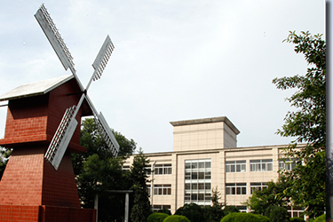 1585364614609889.jpg 11.jpg