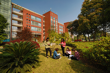 1587368053602487.jpg 16.jpg