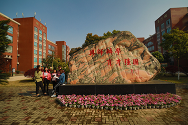 1587368108256899.jpg 15.jpg