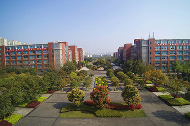 1587368196981167.jpg 20.jpg