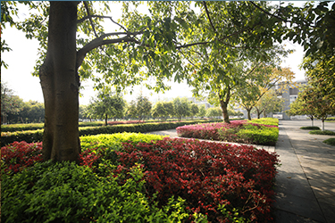 1587368246324760.jpg 14.jpg