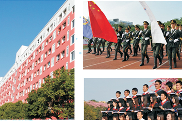 1587549775120549.jpg 5.jpg