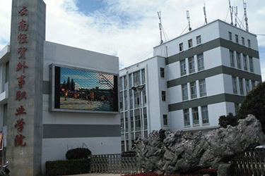 1587606009425971.jpg 21.jpg