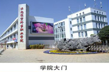 1587606466129740.jpg 28.jpg