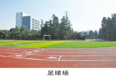 1587606517961459.jpg 33.jpg