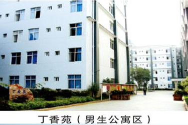 1587606588139698.jpg 26.jpg