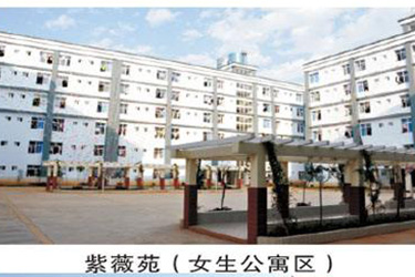 1587606599757101.jpg 27.jpg