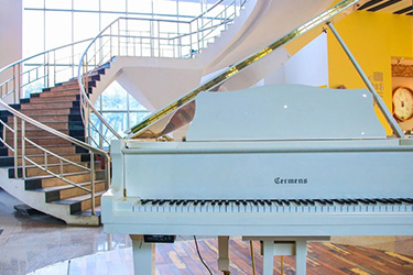 1589270785297091.jpg 82.jpg