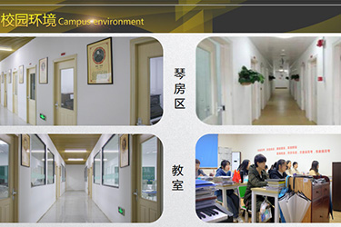 1589273113570472.jpg 23.jpg