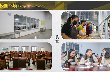 1589273138798712.jpg 26.jpg