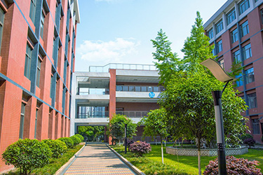 1619778067134091.jpg 2.jpg