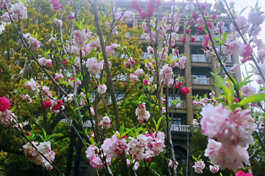 1623310401457599.jpg 未标题-7-恢复的.jpg