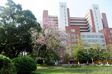 暨南大学.jpg 暨南大学.jpg